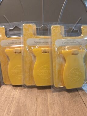 Car Air Freshener (Scentsy)